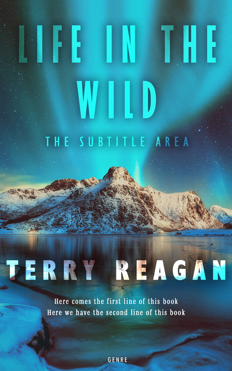 2D view of Pickled Bluewood #50027 - Premade Travel Book Cover