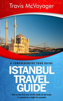 Pre Made Book Cover Boston Blue