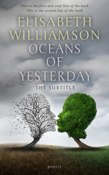 Pre Made Book Cover Gray Chateau