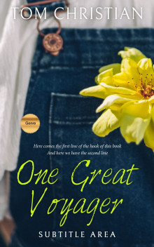 Pre Made Book Cover Big Stone