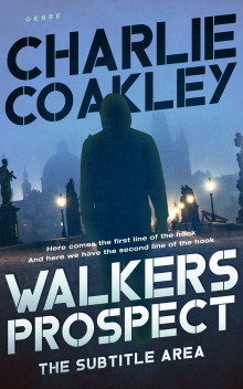 Pre Made Book Cover Big Stone