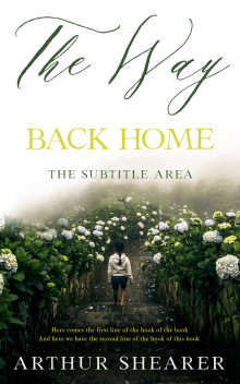 Pre Made Book Cover Tana