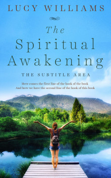 Pre Made Book Cover Seagull