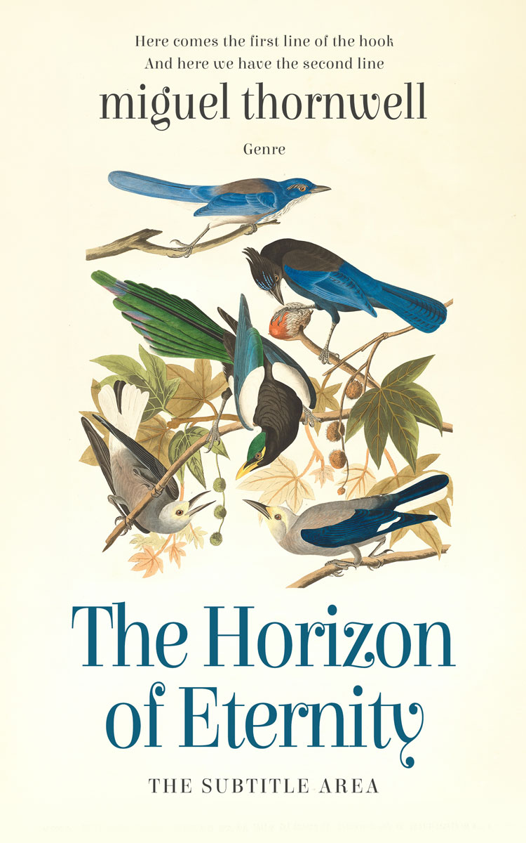 Pre Made Book Cover Rum Swizzle