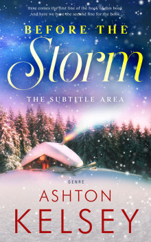 Pre Made Book Cover Maverick