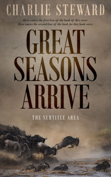 Pre Made Book Cover Sand Dune