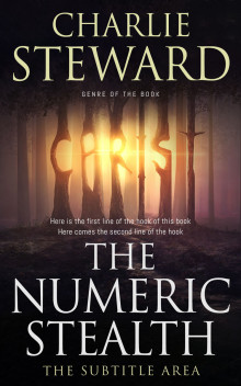 Pre Made Book Cover Straw