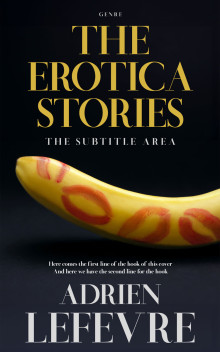 Pre Made Book Cover Sundance