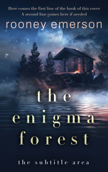 Pre Made Book Cover Big Stone