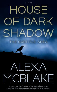 Pre Made Book Cover Ship Cove