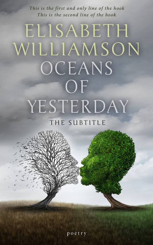 Pre Made Book Cover Gray Chateau