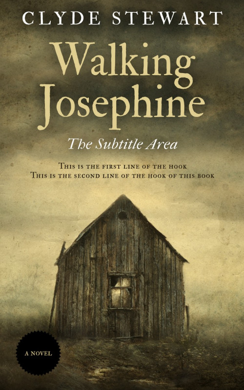 Pre Made Book Cover Judge Gray