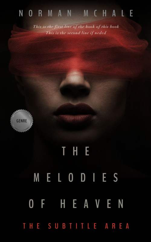 Pre Made Book Cover Night Rider