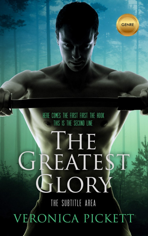 Pre Made Book Cover Aztec