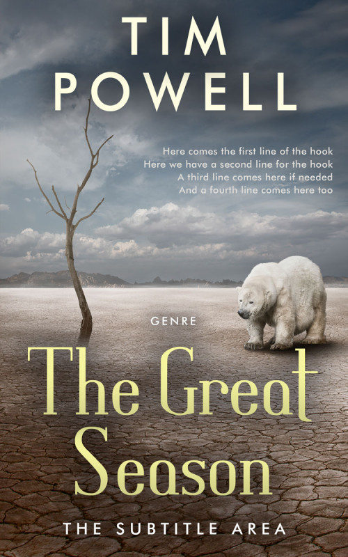 Pre Made Book Cover Flint