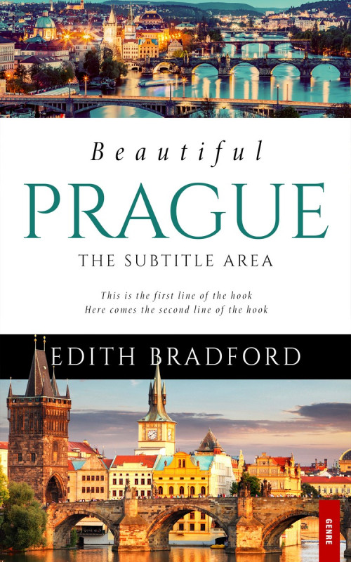 Pre Made Book Cover Rodeo Dust