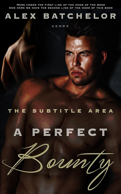 Pre Made Book Cover Night Rider