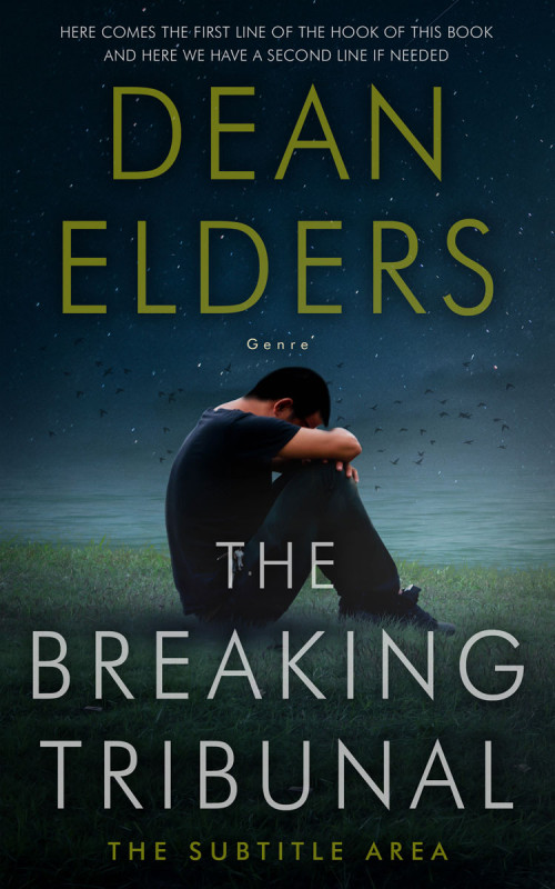 Pre Made Book Cover Aztec