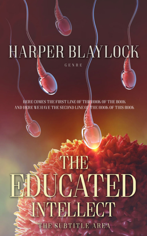 Pre Made Book Cover Buccaneer