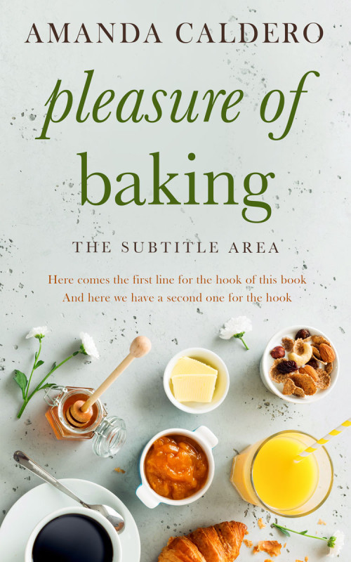 Pre Made Book Cover Celeste