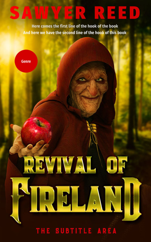 Pre Made Book Cover Golden Grass