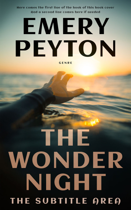 Related Premade Book Cover: Brandy #15734