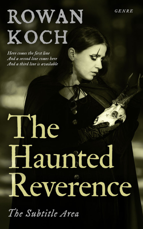 Pre Made Book Cover Marshland