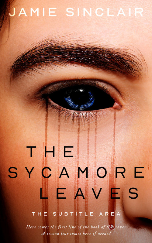 Pre Made Book Cover Whiskey