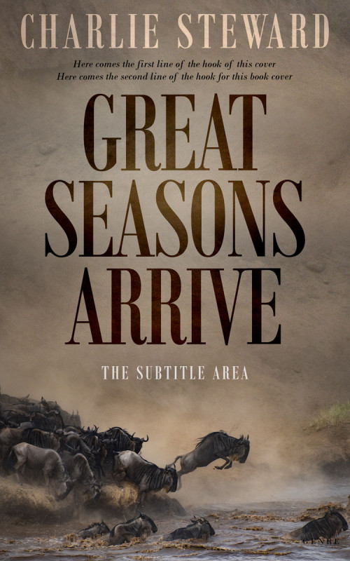 Pre Made Book Cover Sand Dune