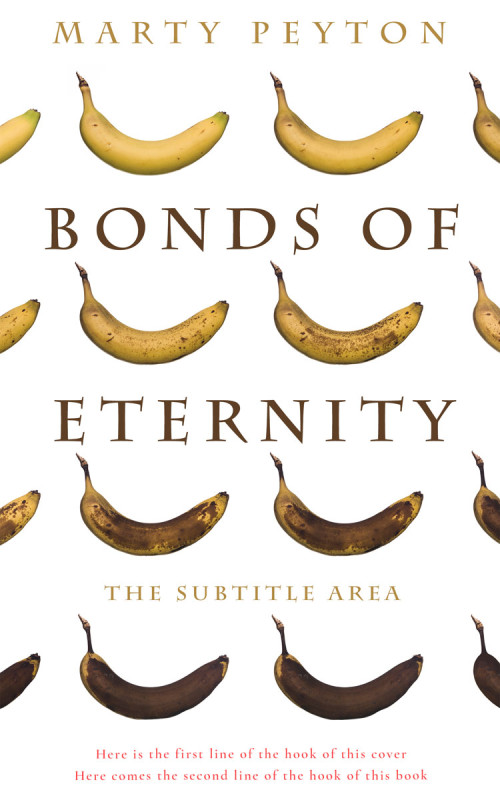 Related Premade Book Cover: Quincy #21726