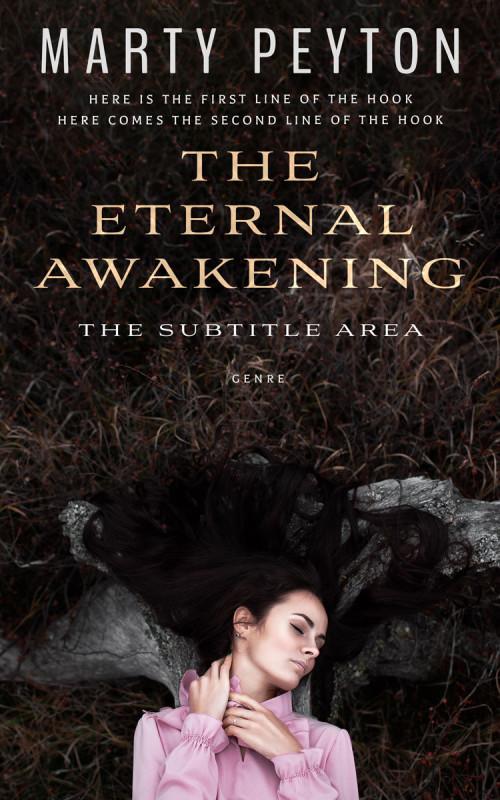 Pre Made Book Cover Zeus