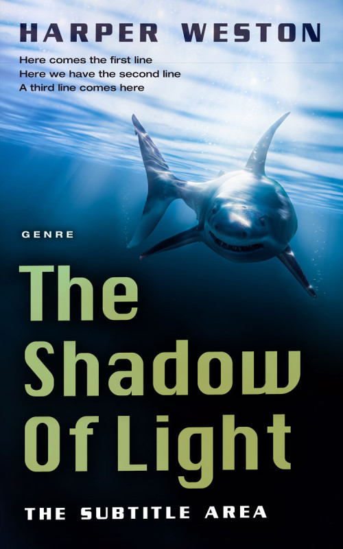 Pre Made Book Cover Tiara