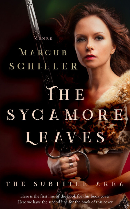 Pre Made Book Cover Asphalt