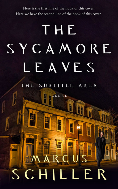 Pre Made Book Cover Gondola