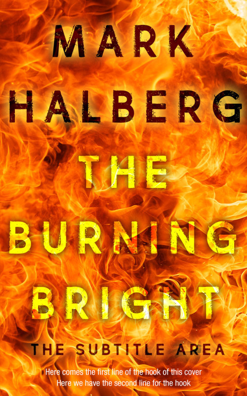 Pre Made Book Cover Christine