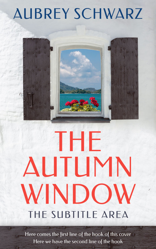 Pre Made Book Cover Ship Gray