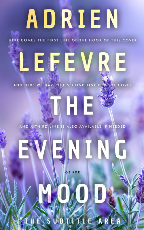 Pre Made Book Cover Wild Blue Yonder