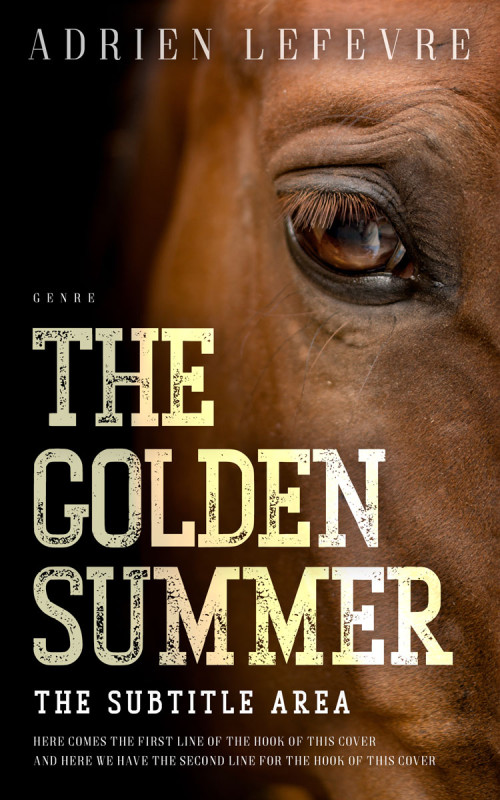 Pre Made Book Cover Sambuca