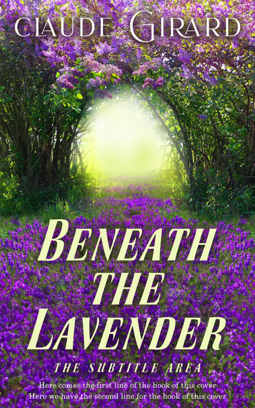 Pre Made Book Cover Thunder