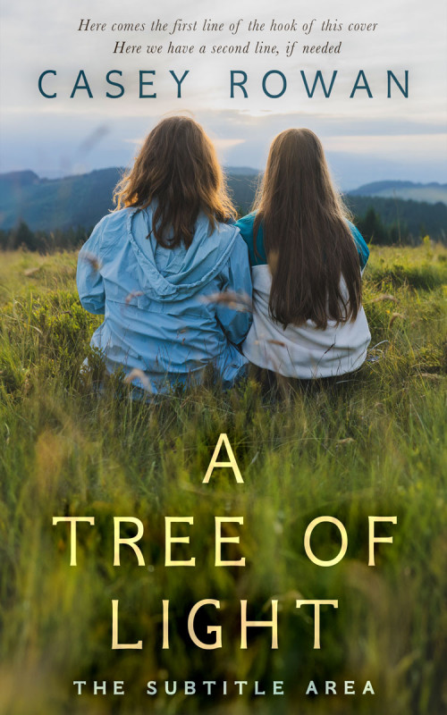 Front view of Unknown #31903 - Premade Literary Fiction Book Cover