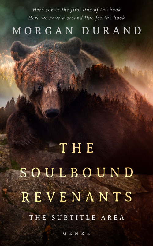 Pre Made Book Cover Oil