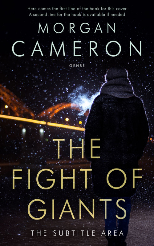 Pre Made Book Cover Cinder