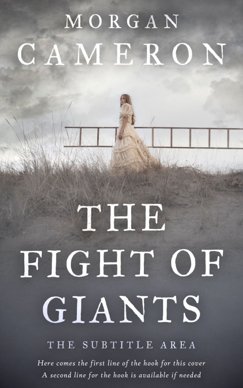 Related Premade Book Cover: Scarpa Flow #33070