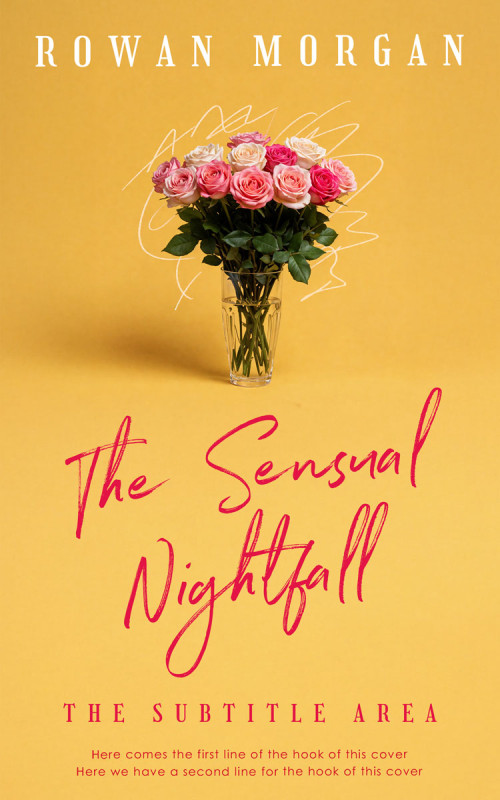 Pre Made Book Cover Ronchi