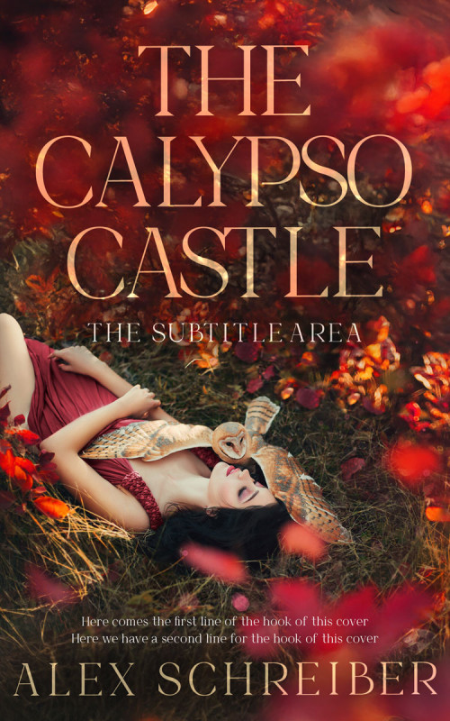 Pre Made Book Cover Cocoa Bean