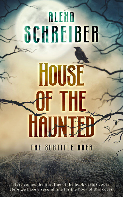 Pre Made Book Cover Akaroa