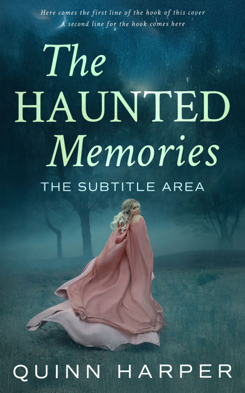 Pre Made Book Cover Blue Dianne