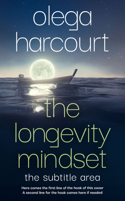 Pre Made Book Cover Big Stone