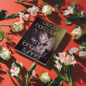 Book cover mockup 3