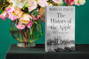 Book cover mockup 4